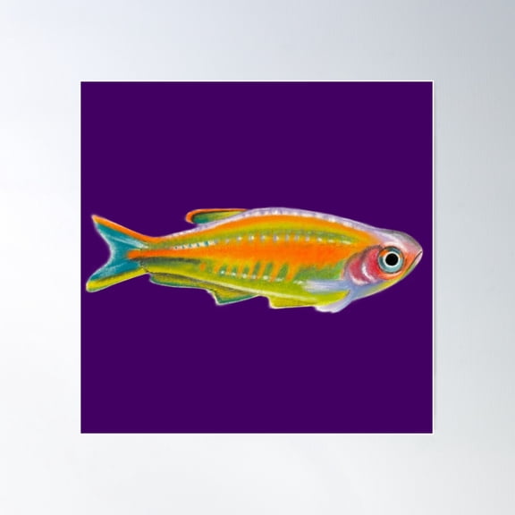 Rainbow Transparent Tropical Fish Poster Wall Art, Modern Wall Decor For Living Room Bedroom, 24x24 UNFRAMED