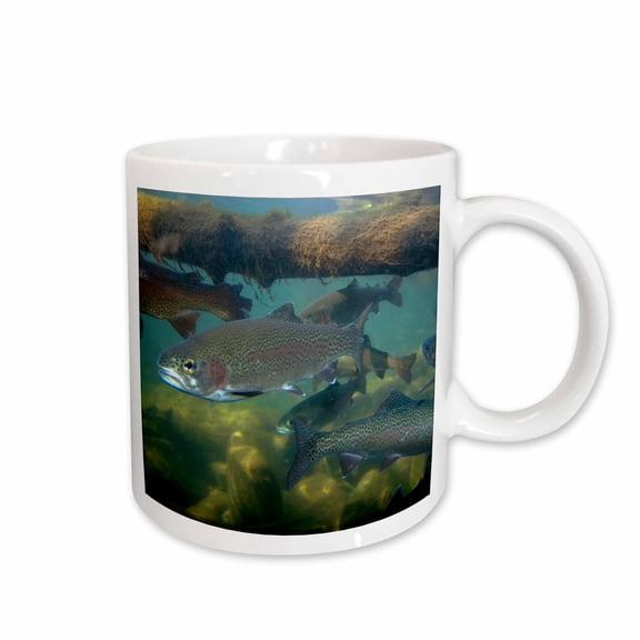 3drose, Rainbow Trout Fish, Nature Center, Boise, Idaho - Us13 Dfr0528 - David R. Frazier, 11oz Mug