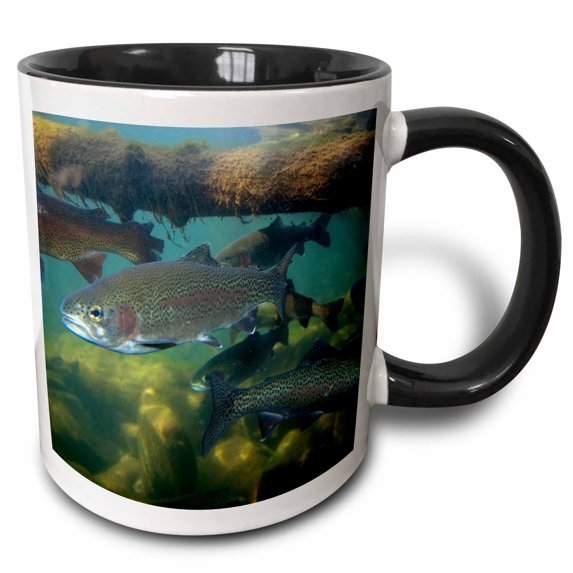 3drose, Rainbow Trout Fish, Nature Center, Boise, Idaho - Us13 Dfr0528 - David R. Frazier, 15oz Two-tone Black Mug