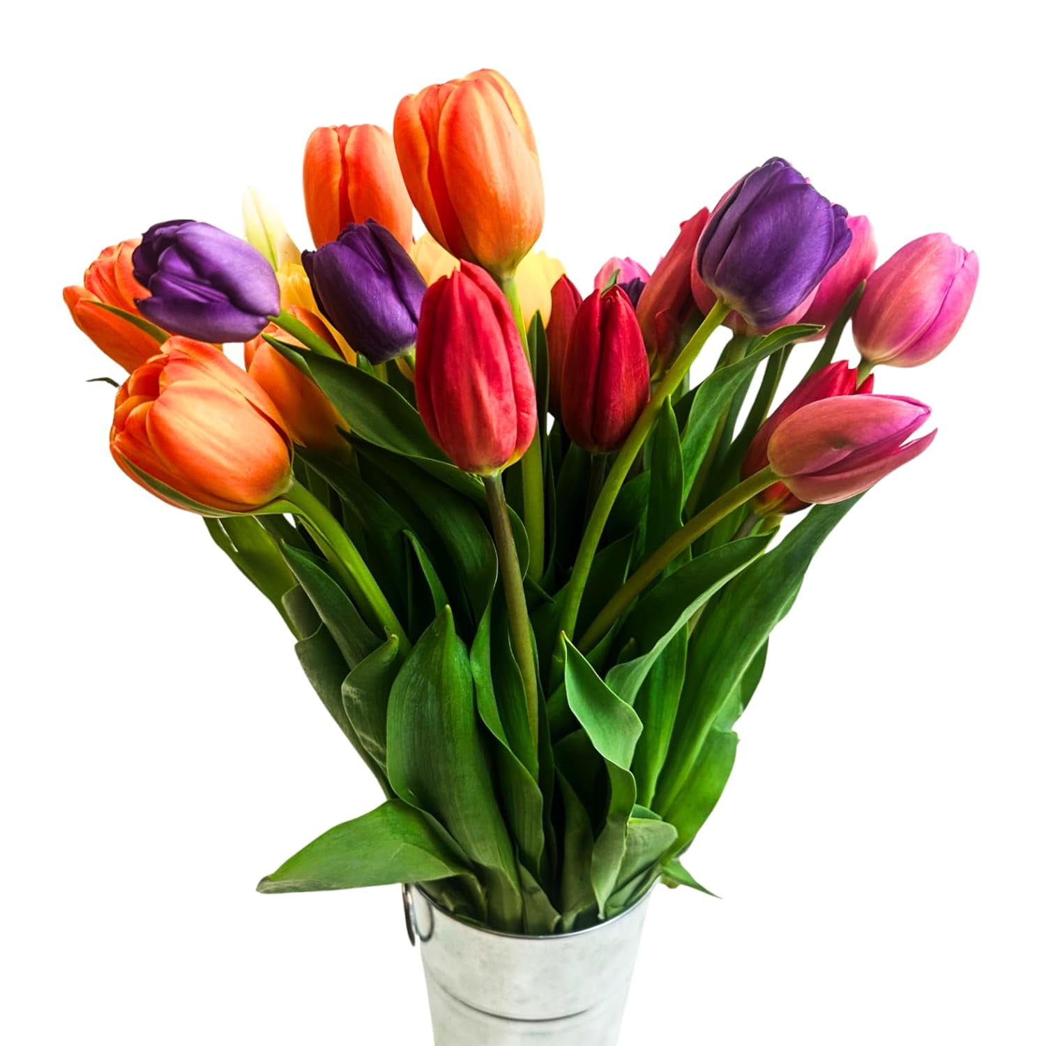 Rainbow Tulips Fresh Flowers Bouquet with Vase Overnight Prime