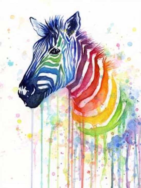 Rainbow Zebra Canvas Art - Olga Shvartsur (18 x 24)