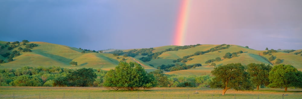 Rainbow and rolling hills in central California Canvas Art - Panoramic Images (27 x 9)