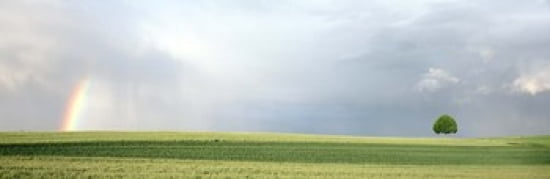 Rainbow and storm clouds over a field Zurich Canton Switzerland Canvas Art - Panoramic Images (36 x 12)