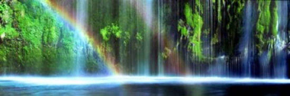 Rainbow formed in front of a waterfall in a forest Dunsmuir Siskiyou County California USA Canvas Art - Panoramic Images (18 x 6)