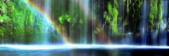 Rainbow formed in front of a waterfall in a forest Dunsmuir Siskiyou County California USA Canvas Art - Panoramic Images (36 x 12)
