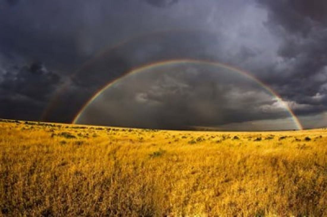 Rainbow in mist Maasai Mara Kenya Canvas Art - Joe Restuccia III DanitaDelimont (35 x 23)