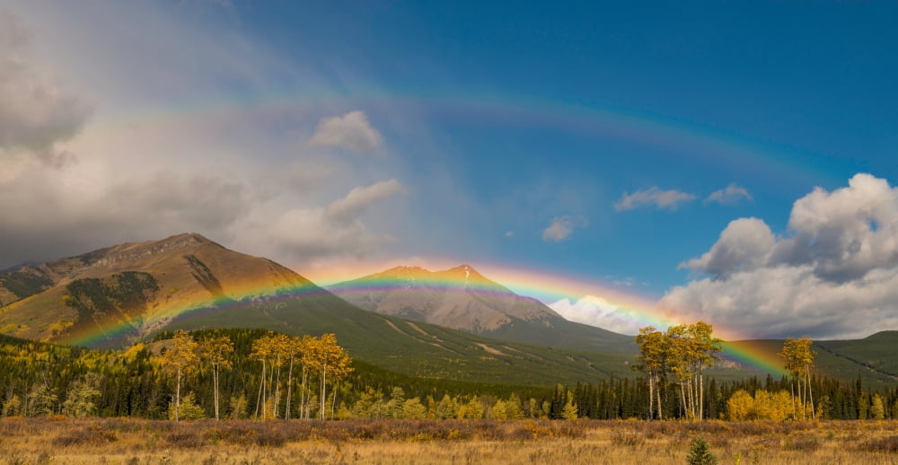 Rainbow over autumn trees against mountains Mount Allan Kananaskis Country Alberta Canada Canvas Art - Panoramic Images (12 x 24)