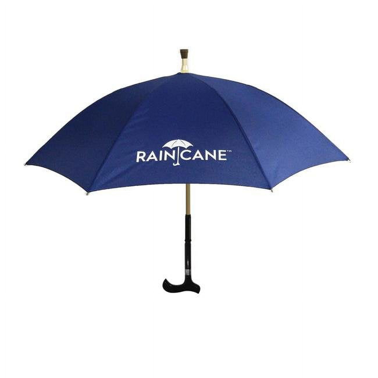 Raincane 2 in 1 Walking Cane Umbrella, Blue