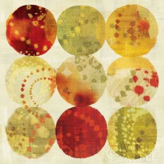 Raindots Canvas Art - Wild Apple Portfolio (24 x 24)