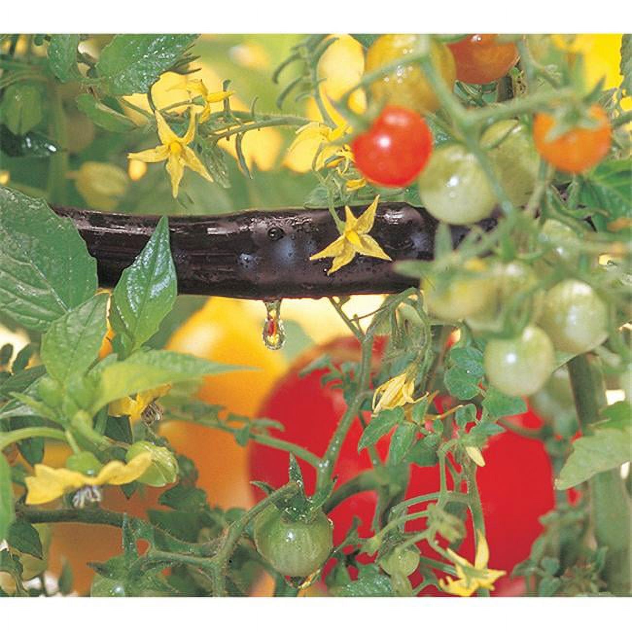 Raindrip DripALong Drip Irrigation Plant Watering Kit