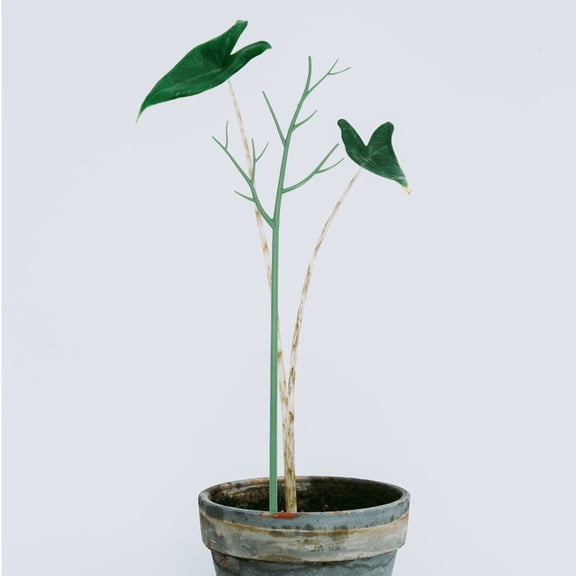FOMIYES 1Set Sturdy Green Plastic Plant Stem Support Pole for Potted Plants and Outdoor Garden Climbing