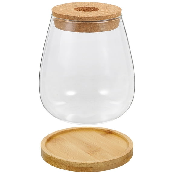 Houderco Creative Hydroponic Vase Glass Office Workers Birthday 1 Set