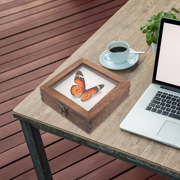 FOMIYES 1Set Light Brown Wood Display Case with Lid for Specimen and Jewelry Storage