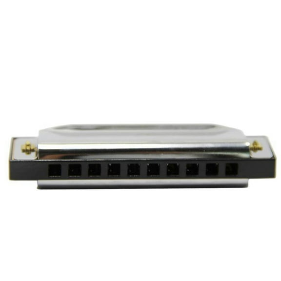 Raindrops 10 Hole Blues Harmonica Holes for Folk Music Child