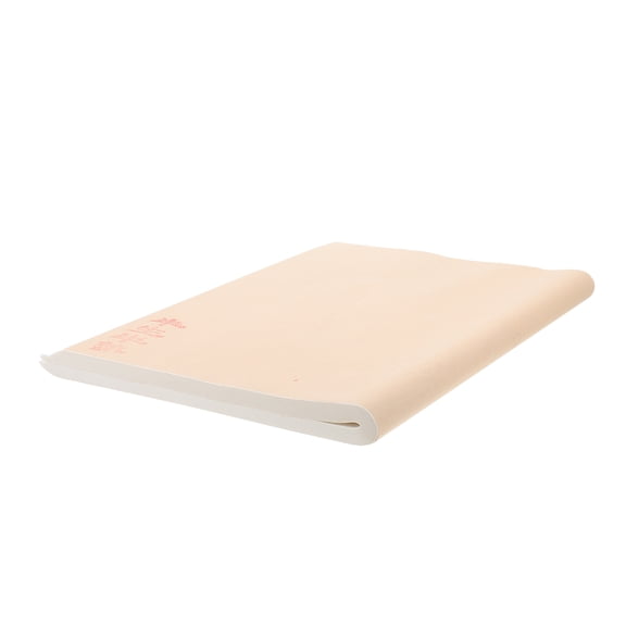 USHOBE 100Pcs Rice Paper for Calligraphy White Xuan Paper Suitable for Watercolor and Drawing