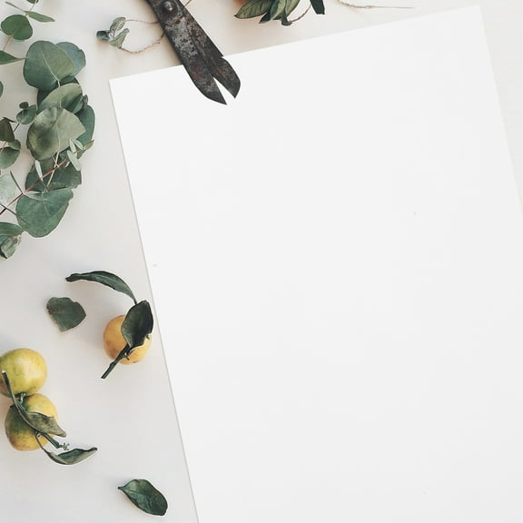 Raindrops 100 Sheets Architectural Paper Drafting Drawing Versatile Art Paper For Drafting Table Projects Marker Rendering And Creative Sketching