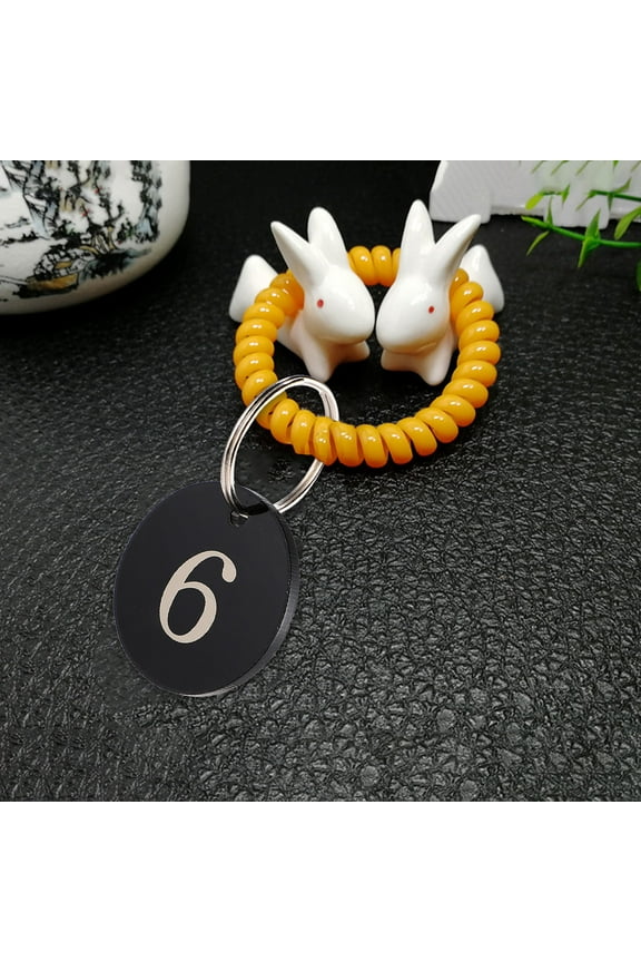 Raindrops Numbered Keychain Tags, 100 Pcs Round Hollow Acrylic Key Tags for Organizing Keys and Accessories