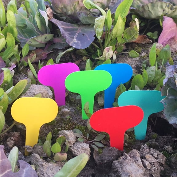 Raindrops 100Pcs T-Shape Vegetable Garden Markers Stakes Assorted Colors Plant Labels