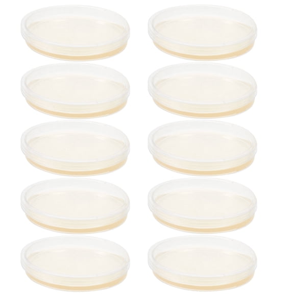 Raindrops 10Pcs Agar Plates For Petri Dishes Round Shape Portable Professional Design 3.5x3.5x0.4in