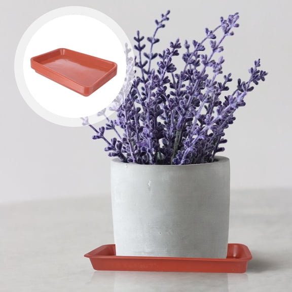 Raindrops 10Pcs Rectangular Trays for Plants with Water Collection in Home Settings