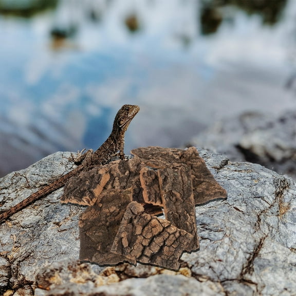 10Pcs Natural Cork Bark Terrarium Background Board for Reptiles, Climbing Mat, Habitat Decor for Lizard, Chameleon, Turtle Hiding & Breeding