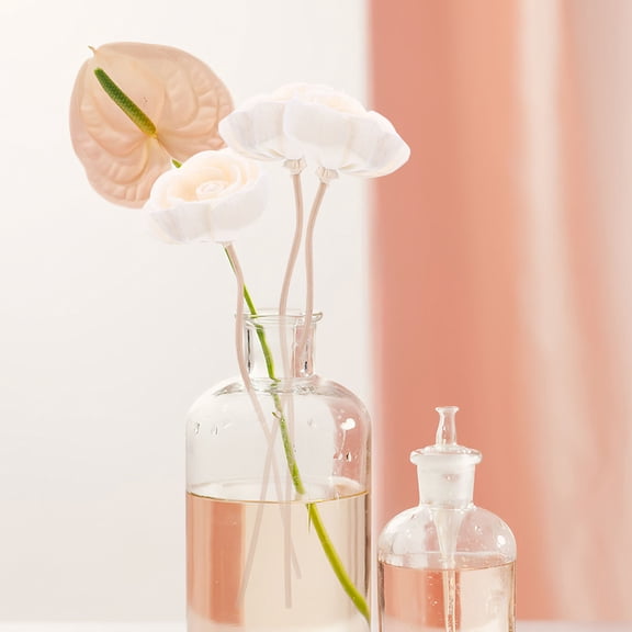 Raindrops Set of 10 Aromatherapy Rattan Diffuser Sticks Ideal for Refreshing Room Air and Enhancing Ambiance