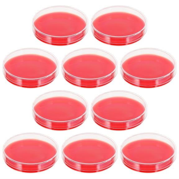 Raindrops 10pcs PDA Plates - Prepoured Agar Dishes for Mushrooms