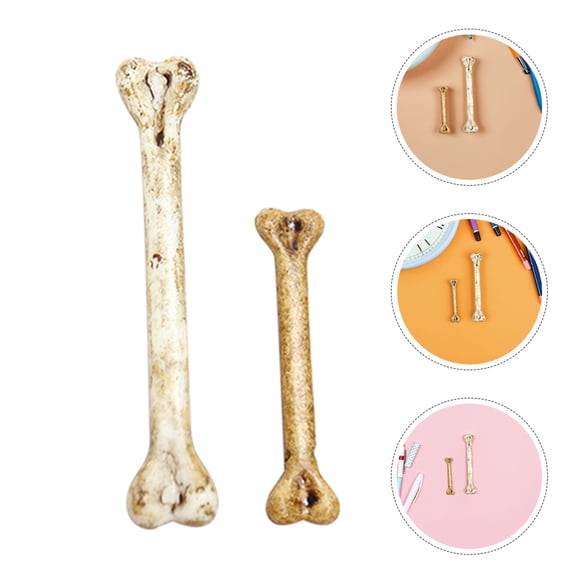 Raindrops Mini Skeleton Bones Assorted Colors 12 Pieces Decor Fake Bones Set