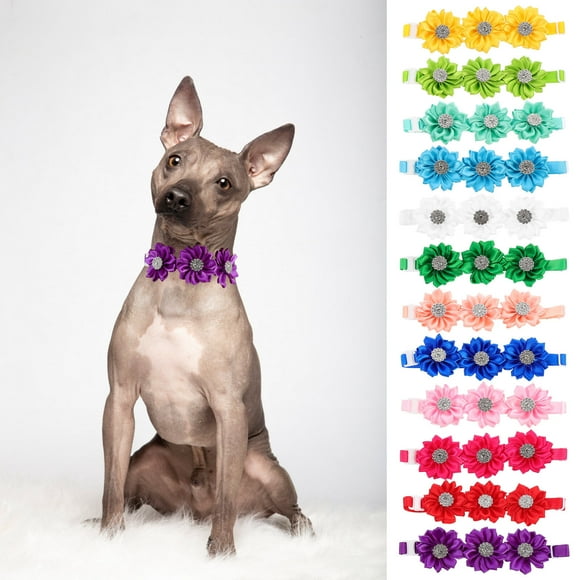 Raindrops 12Pcs Chic Design Dog Flower Collar for Parties in Assorted Color 5.50X1.57X0.39 In