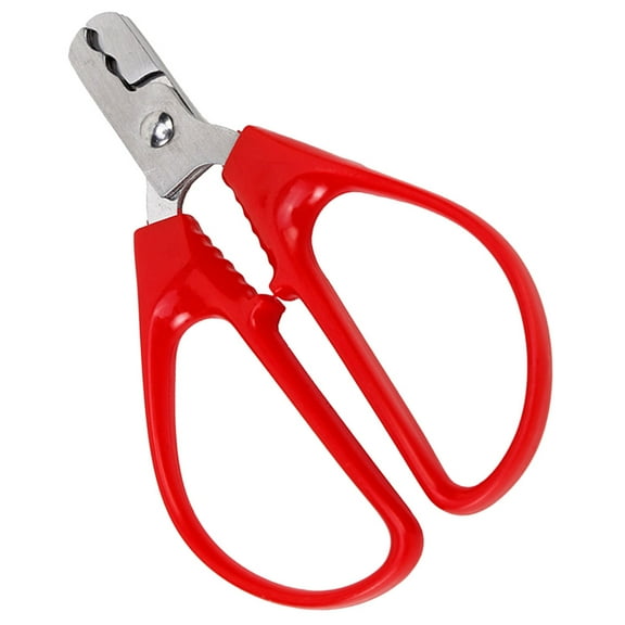 Raindrops 1Pack Nut Cracker for Pistachio Peeling Rust Resistance Compact Design for Kitchen Use