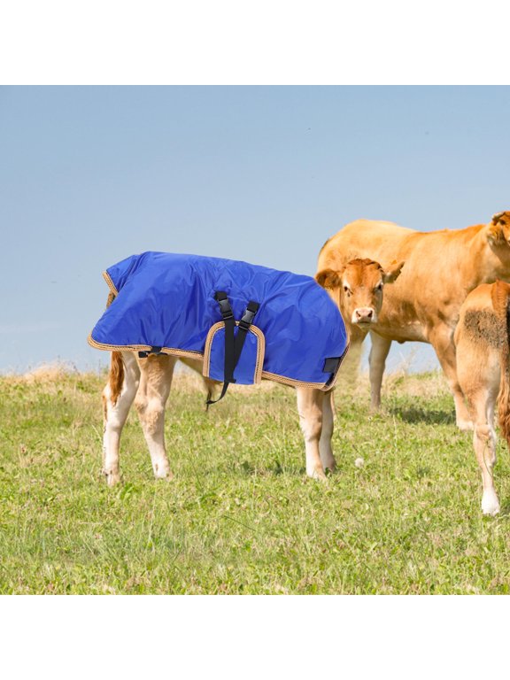 Warm Blue Calf Vest, Waterproof Oxford Cloth, Excellent Workmanship
