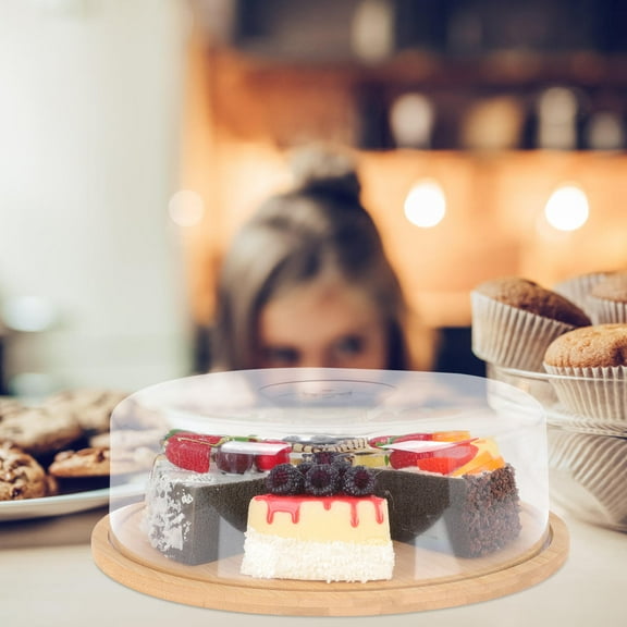 Raindrops 1Pcs Snack Plate With Lid Round 11x11x3.58 In For Dining