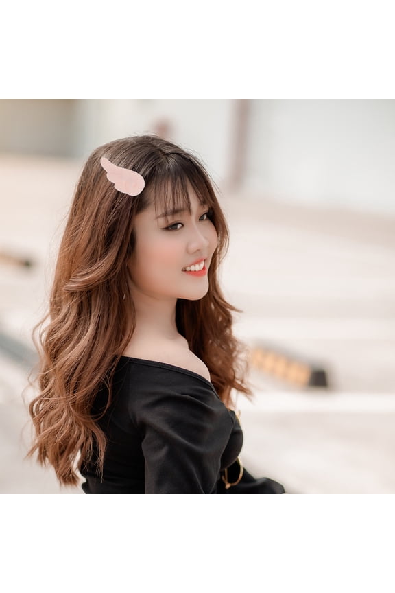 2 Pairs of Pretty Hair Clips for Women Wings Shape Metal Banquet