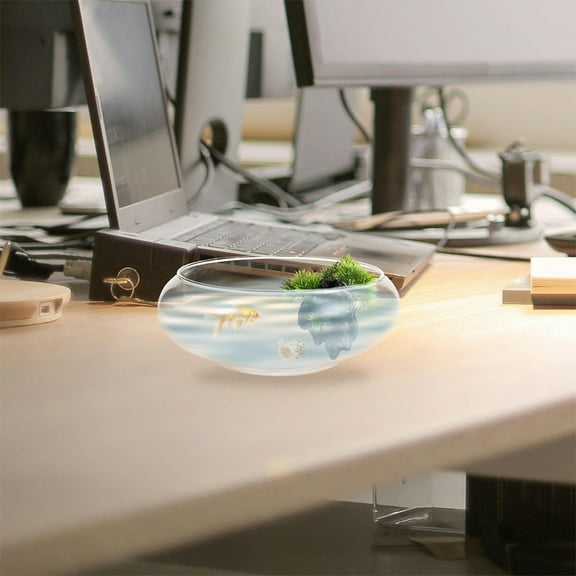 Raindrops  2 Pcs Glass Terrarium for Succulents Lotus Planter Bowl Transparent