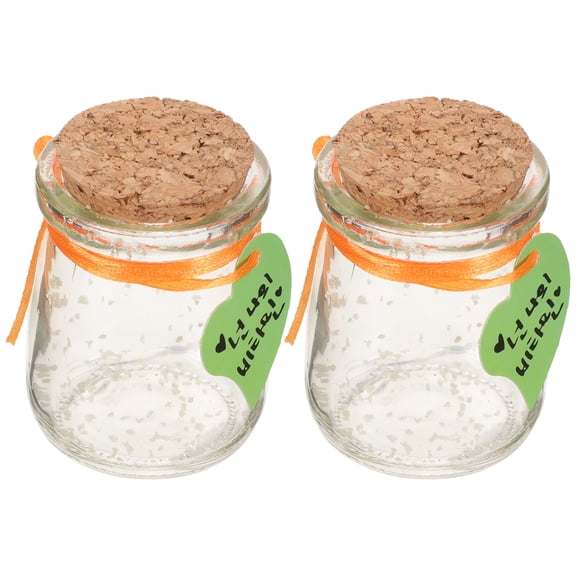 Raindrops  2 Pcs Luminous Wishing Bottle Glass Jar Bottles Jars Mini with Cork Child Transparent