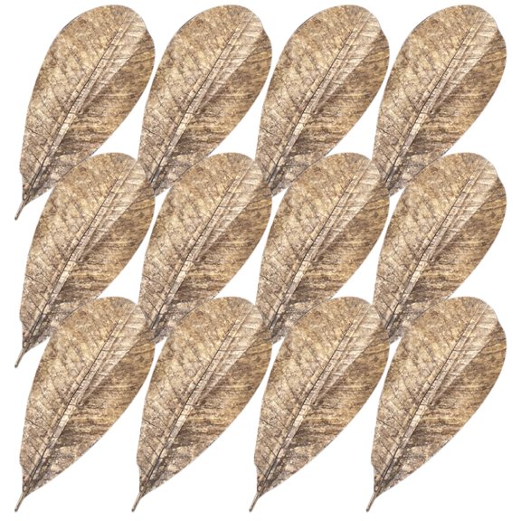 Raindrops 20 Pcs Dried Leaves Sushi Leaf Plate Party Decorations Japanese