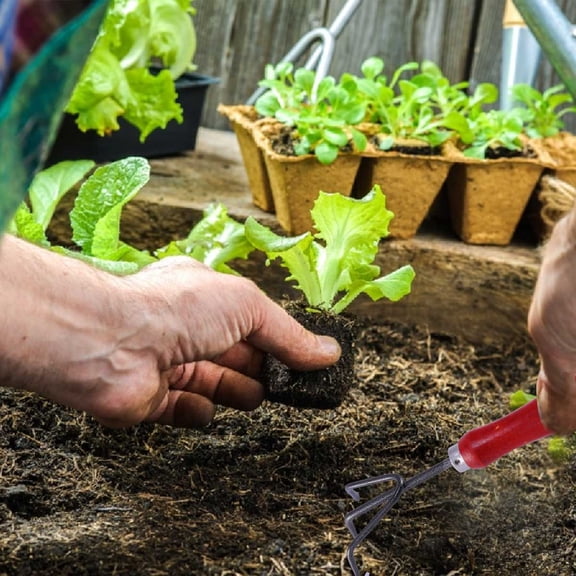 Raindrops 2PCS Three-tooth Weeding Rake Red Iron Wood for Efficient Weeding and Cleaning