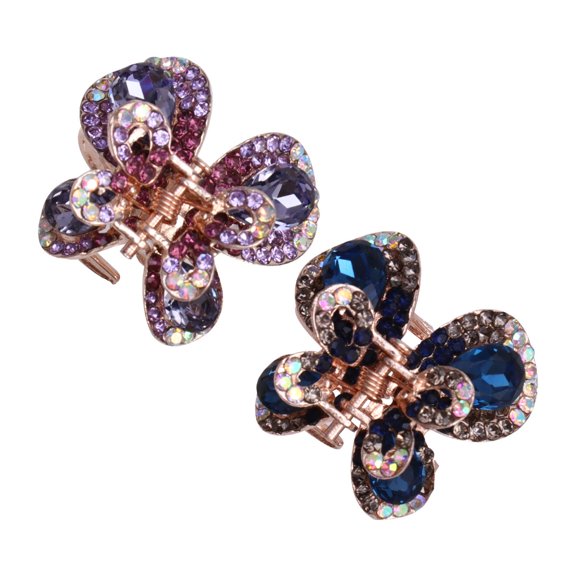 Raindrops 2Pcs Bangs Clip Assorted Hair Accessories for Elegant Decorative Style