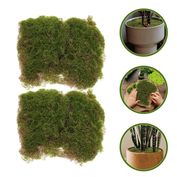 Raindrops 2Pcs Artificial Moss Sheets Decorative Moss Mat Green Plastic Turf for Decor