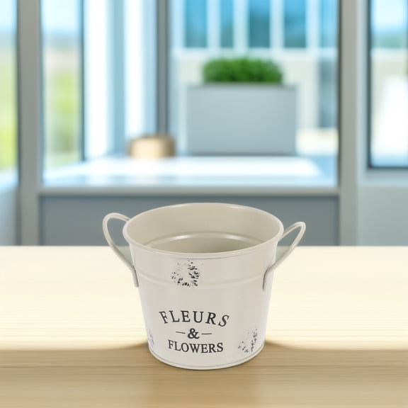 Raindrops Set of 2 Iron Buckets with Handles, Portable Decorative Buckets for Plants and Photo Props