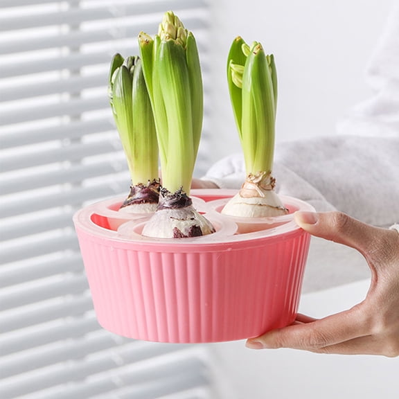 Raindrops 2-Pack Small Hydroponic Pots for Bulbs with Non- Stable Base, Indoor Gardening