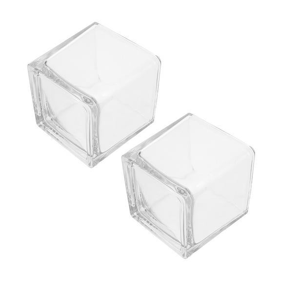 Raindrops 2pcs Clear Square Glass Vases Hydroponic Flower Vases for Table Decoration for Home Office Transparent Glass Planter for Hydroponic Plants