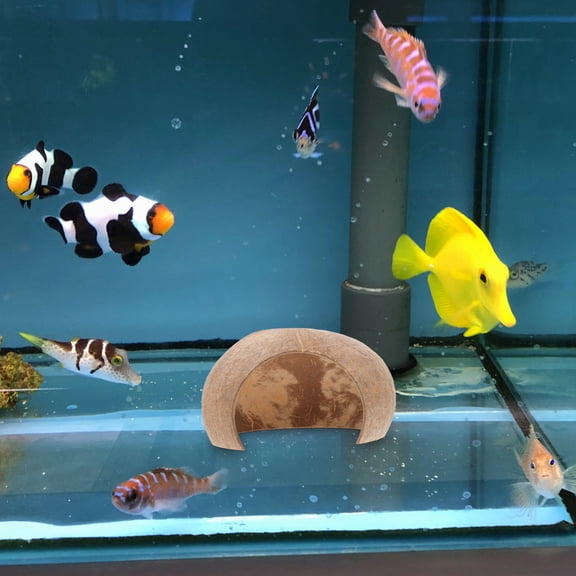 Raindrops 2Pcs Light Brown Coconut Shell Hideout for Reptile Habitats and Aquarium Decor