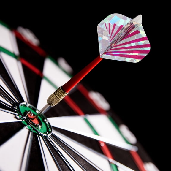 Raindrops 30Pcs Professional Dart Wings Sports Accessory for Outdoor Game Playing