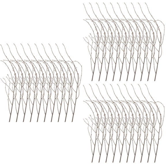 Raindrops 36 Pcs Dried Tree Branches DIY Birch Branches Flower Arrangement Branch