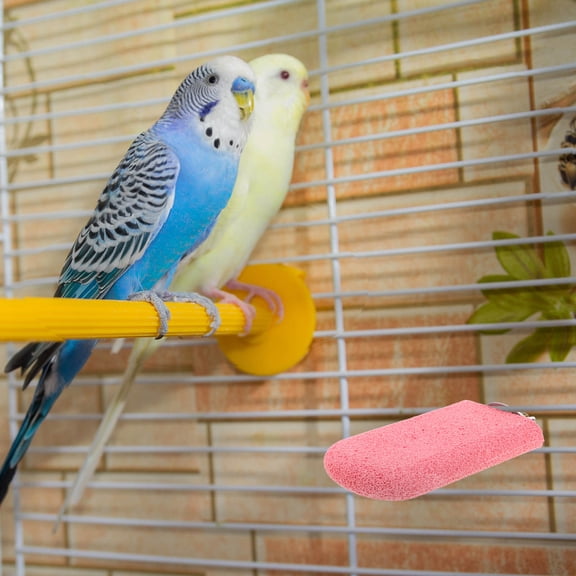 Raindrops 3Pcs Bird Perch Set Assorted Color Platform for Parakeet Cage Accessories