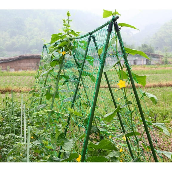 Raindrops 3Pcs Rectangular Mesh Nylon Net Netting for Plants with Gardening Style