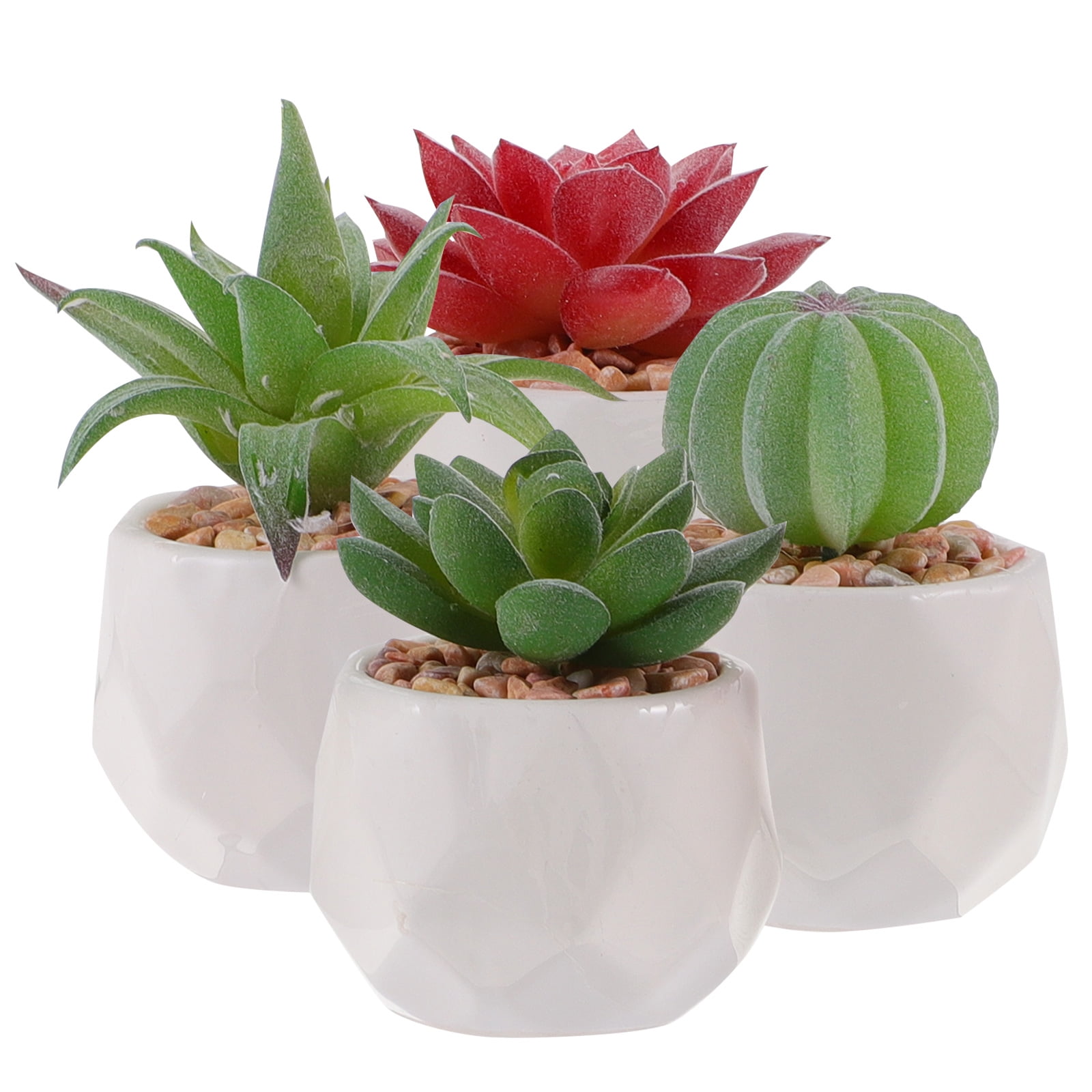 Artificial Succulents in Artificial Plants and Flowers