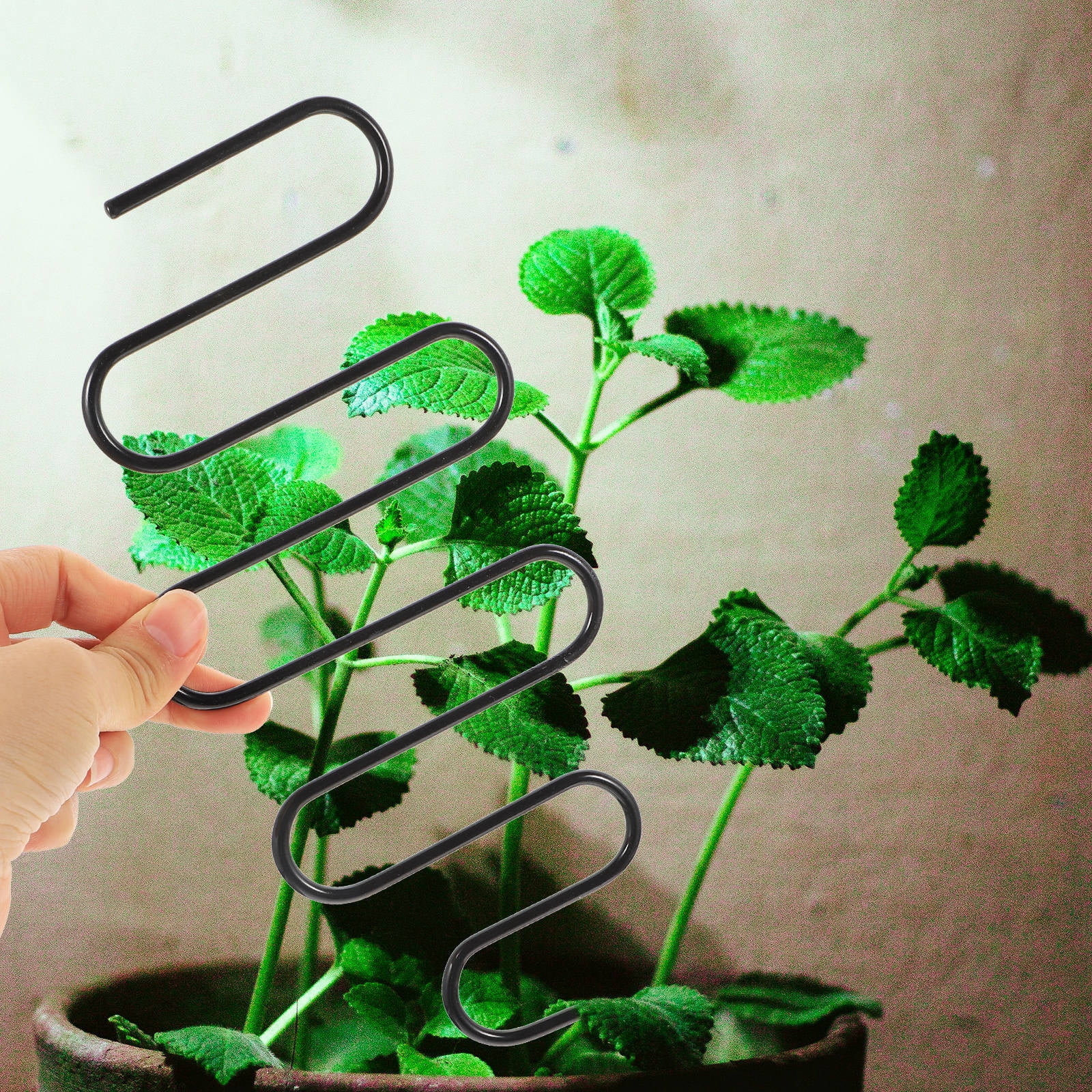 Raindrops 4 Pcs Iron Flower Rack Garden Cucumber Trellis Plant Supports ...