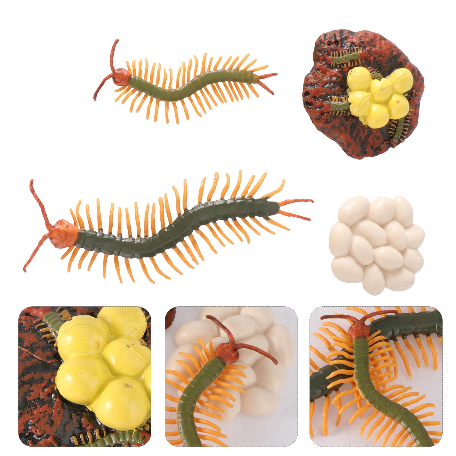 Insect Tube Raindrops 4-Piece Animal Models Insect Kit with Life Cycle Figurines ...
